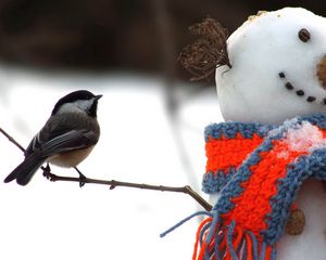 Preview wallpaper tomtit, bird, snowman, scarf, snow, winter