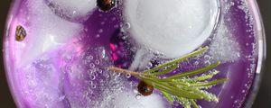 Preview wallpaper tonic, rosemary, currant, ice