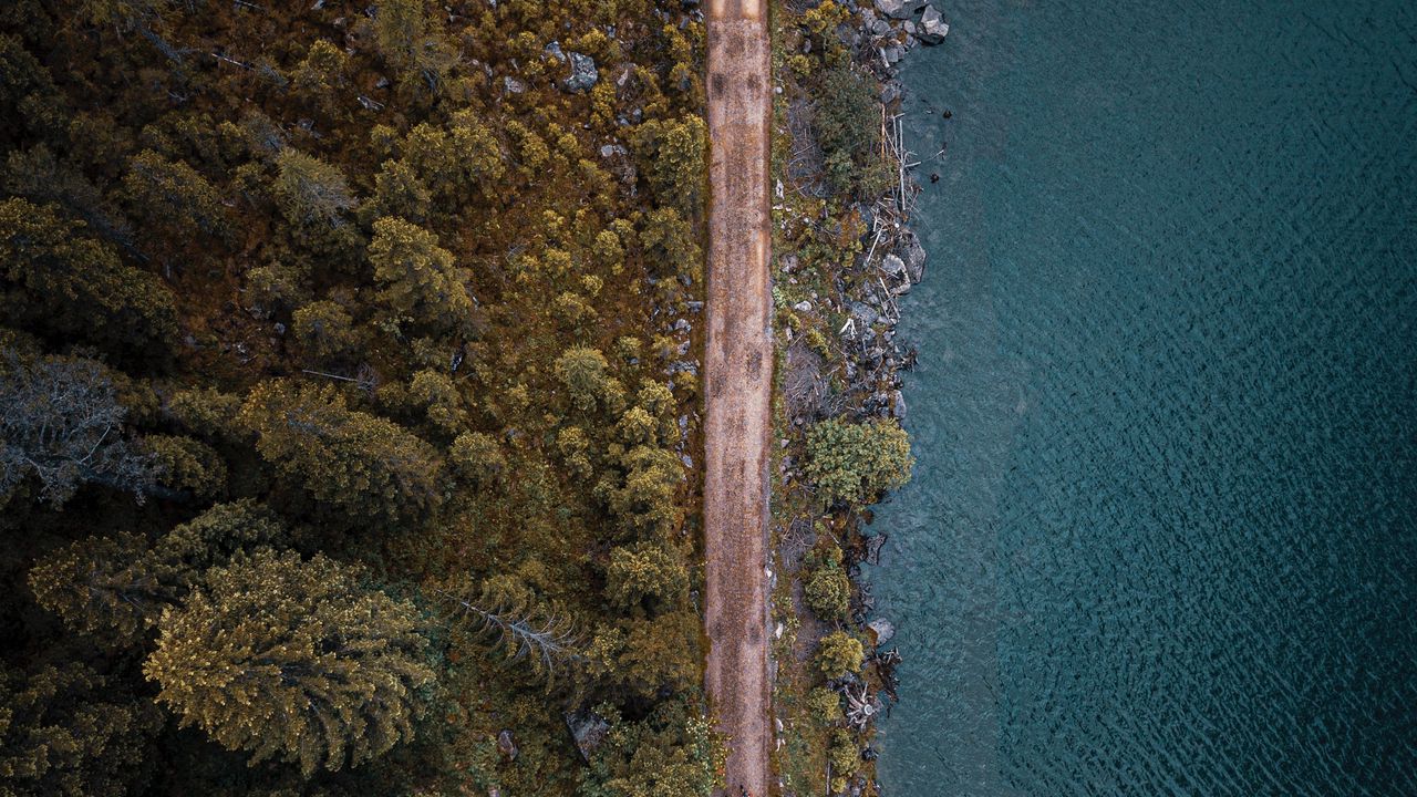 Wallpaper top view, road, sea, forest, trees