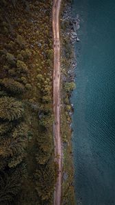 Preview wallpaper top view, road, sea, forest, trees