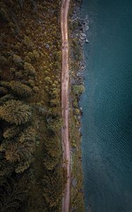Preview wallpaper top view, road, sea, forest, trees