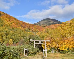 Preview wallpaper torii, forest, mountains, landscape, japan