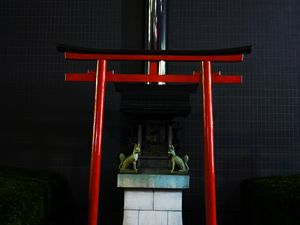 Preview wallpaper torii gate, dogs, architecture, japan