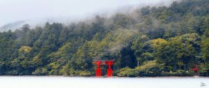 Preview wallpaper torii gate, forest, lake, trees