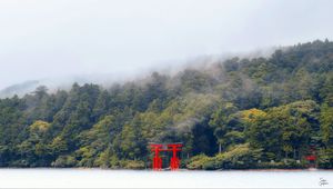 Preview wallpaper torii gate, forest, lake, trees