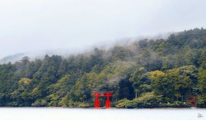 Preview wallpaper torii gate, forest, lake, trees