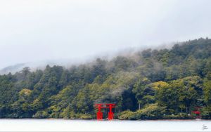 Preview wallpaper torii gate, forest, lake, trees