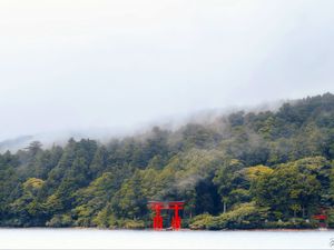 Preview wallpaper torii gate, forest, lake, trees