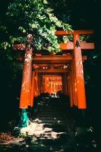 Preview wallpaper torii, gate, japan, stairs