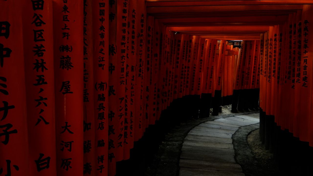 Wallpaper torii gate, path, turn, hieroglyphs, japan