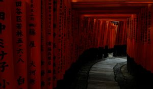 Preview wallpaper torii gate, path, turn, hieroglyphs, japan