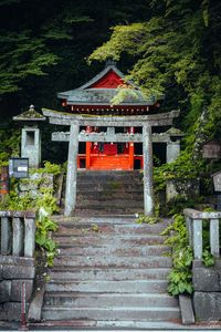 Preview wallpaper torii gate, steps, pagoda, trees, architecture