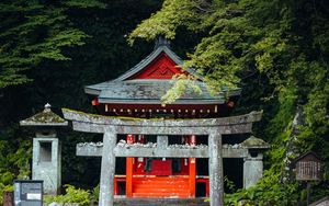 Preview wallpaper torii gate, steps, pagoda, trees, architecture