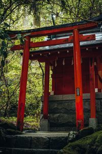 Preview wallpaper torii gate, temple, shrine, japan, architecture