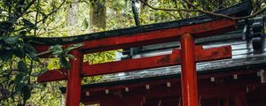 Preview wallpaper torii gate, temple, shrine, japan, architecture