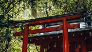 Preview wallpaper torii gate, temple, shrine, japan, architecture