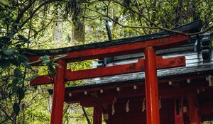 Preview wallpaper torii gate, temple, shrine, japan, architecture