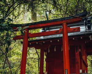 Preview wallpaper torii gate, temple, shrine, japan, architecture