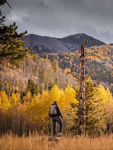 Preview wallpaper tourist, forest, backpack, trees, autumn, hill