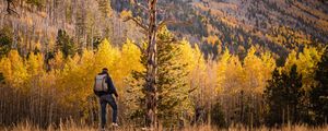 Preview wallpaper tourist, forest, backpack, trees, autumn, hill