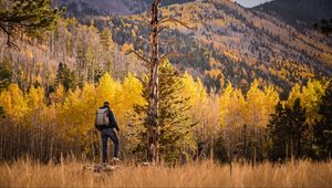 Preview wallpaper tourist, forest, backpack, trees, autumn, hill