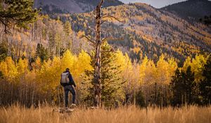 Preview wallpaper tourist, forest, backpack, trees, autumn, hill