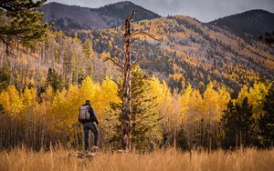 Preview wallpaper tourist, forest, backpack, trees, autumn, hill