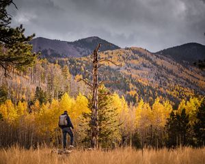 Preview wallpaper tourist, forest, backpack, trees, autumn, hill