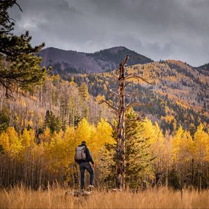 Preview wallpaper tourist, forest, backpack, trees, autumn, hill