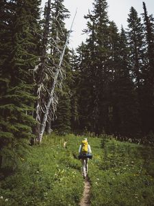 Preview wallpaper tourist, forest, path, tourism, walk, summer, grass