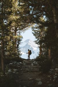 Preview wallpaper tourist, silhouette, forest, trees, mountain, nature