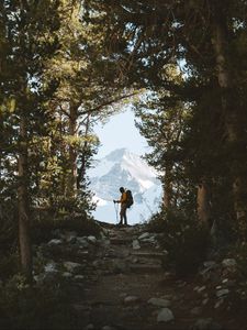 Preview wallpaper tourist, silhouette, forest, trees, mountain, nature