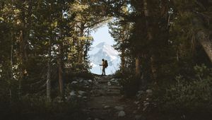 Preview wallpaper tourist, silhouette, forest, trees, mountain, nature