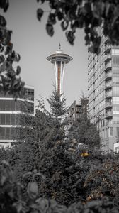 Preview wallpaper tower, architecture, bw, branches, seattle, usa