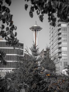 Preview wallpaper tower, architecture, bw, branches, seattle, usa