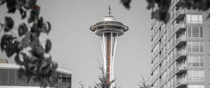 Preview wallpaper tower, architecture, bw, branches, seattle, usa