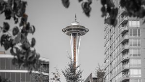 Preview wallpaper tower, architecture, bw, branches, seattle, usa