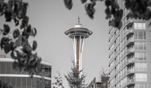 Preview wallpaper tower, architecture, bw, branches, seattle, usa