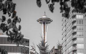 Preview wallpaper tower, architecture, bw, branches, seattle, usa