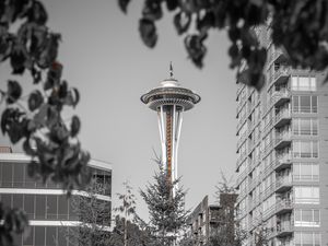 Preview wallpaper tower, architecture, bw, branches, seattle, usa