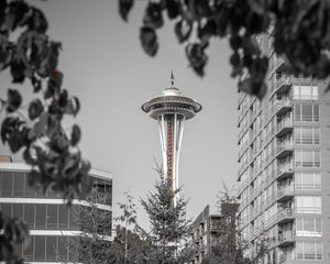 Preview wallpaper tower, architecture, bw, branches, seattle, usa