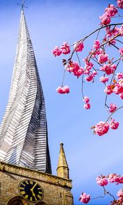 Preview wallpaper tower, architecture, flowers, sakura