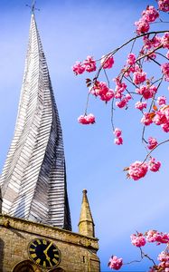 Preview wallpaper tower, architecture, flowers, sakura