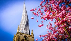 Preview wallpaper tower, architecture, flowers, sakura