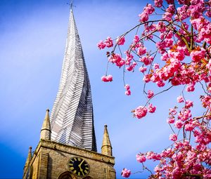 Preview wallpaper tower, architecture, flowers, sakura