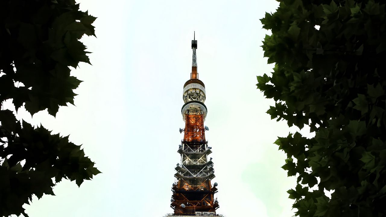 Wallpaper tower, architecture, spire, trees