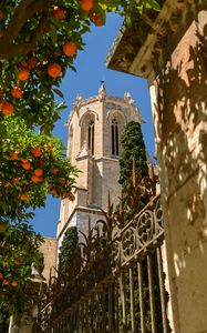 Preview wallpaper tower, architecture, tree, citrus