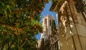 Preview wallpaper tower, architecture, tree, citrus