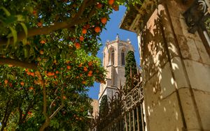 Preview wallpaper tower, architecture, tree, citrus