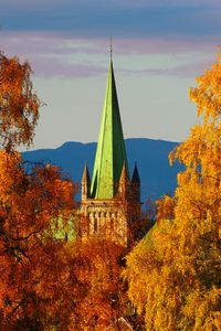 Preview wallpaper tower, architecture, trees, autumn, yellow, aerial view